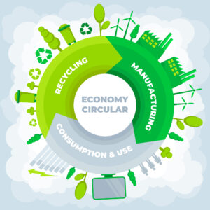 Diagram of a circular economy