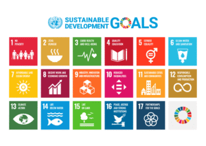 Sustainable Development Goals Poster