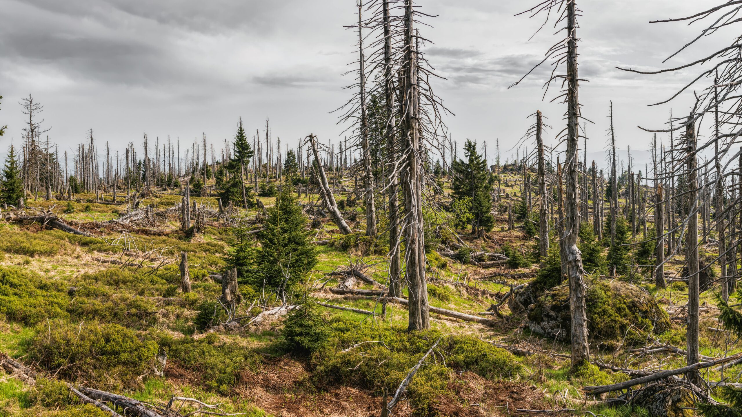 Image of Land Degradation