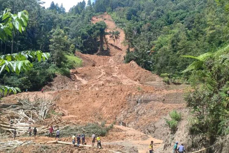 Deforestation