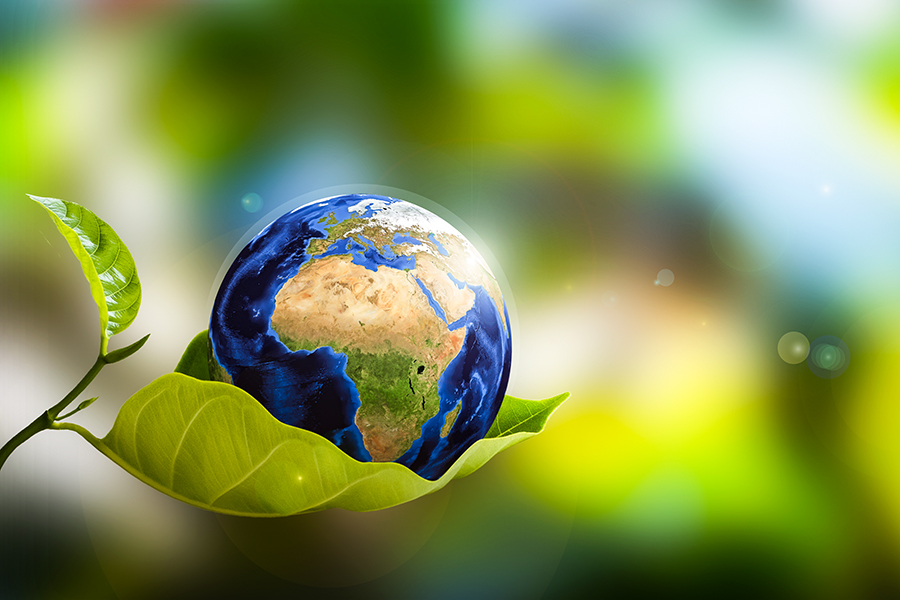 Earth on Leaf