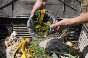 Hands holding a bowl of organic waste for compost
