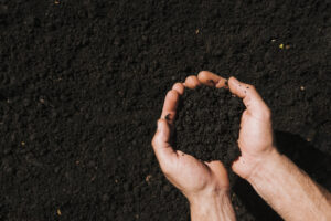 Soil Improvement Agent